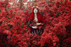 Bella-Kotak-12.jpg