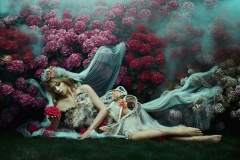 Bella-Kotak-6.jpg