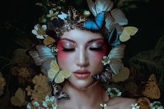 Dance-of-the-butterflies-by-bella-kotak.JPG