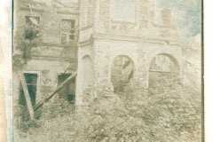 cyjano044.jpg