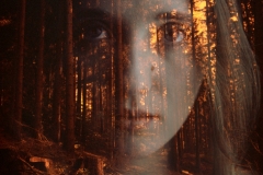multiexpoangie-redscale416.jpg